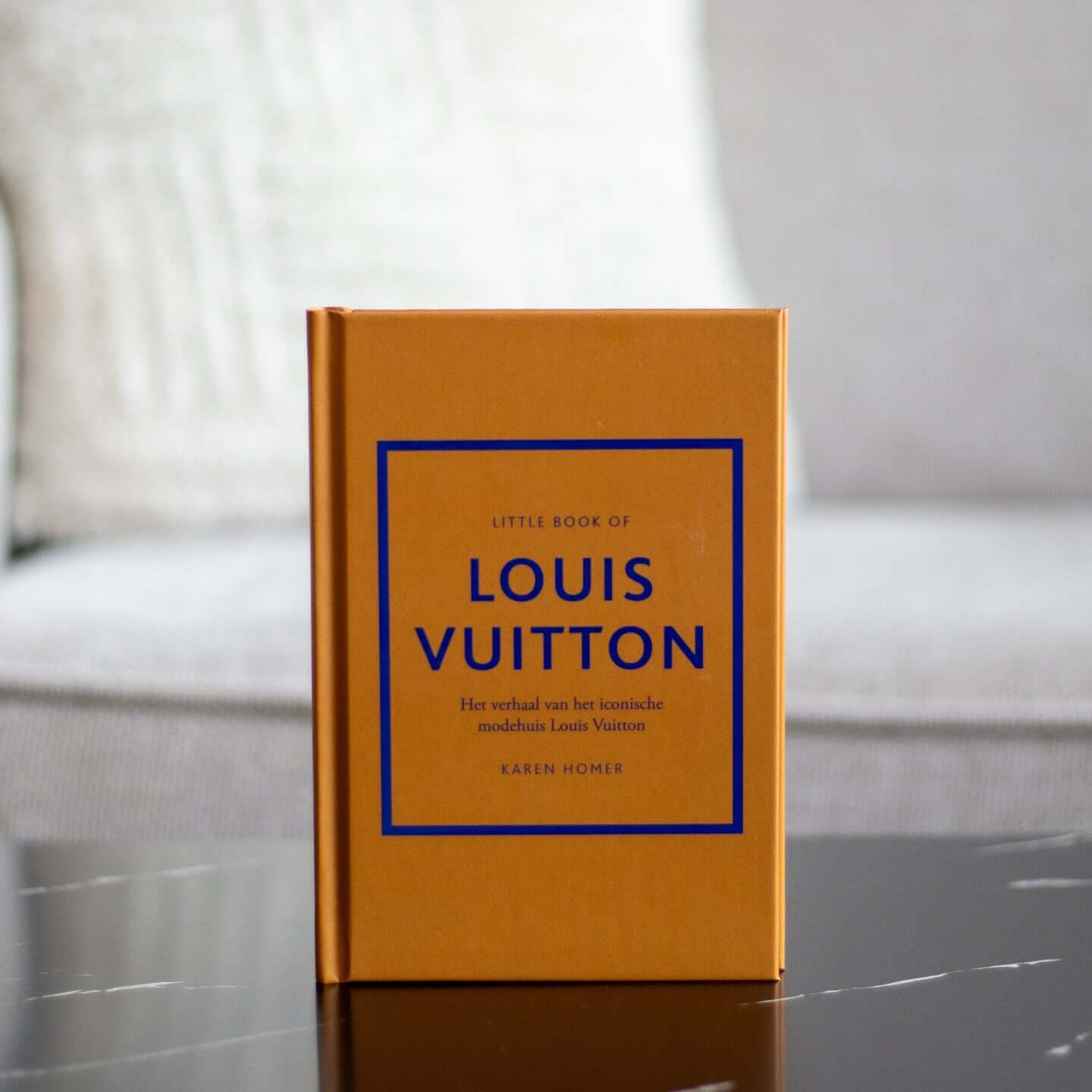 Little book of Louis Vuitton
