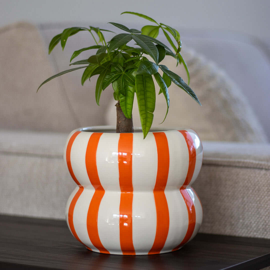 Plantenpot Jinjiti Oranje